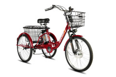 Электровелосипед РВЗ Чемпион 24