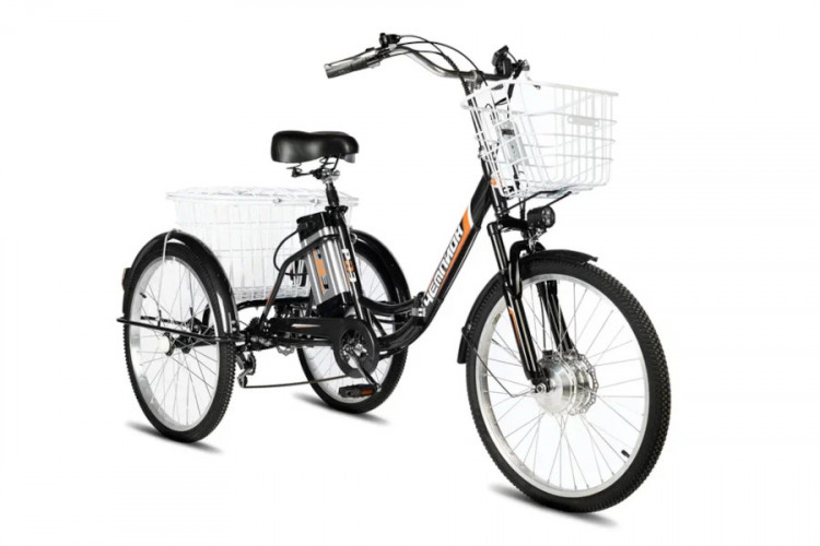 Электровелосипед РВЗ Чемпион 24 складной в Сургуте