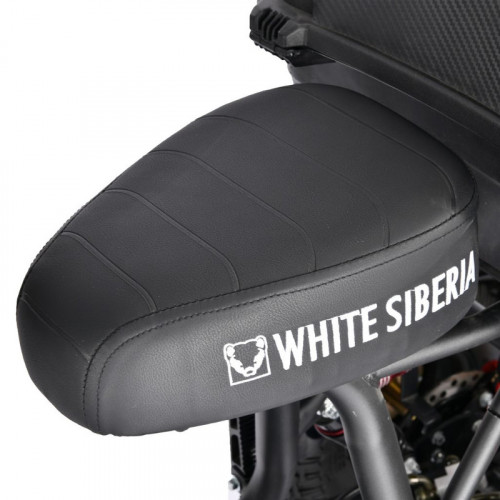 Электроскутер White Siberia TRIKE MINI 1500W в Сургуте