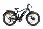 Электрофэтбайк Volteco BigCat Dual Next в Сургуте