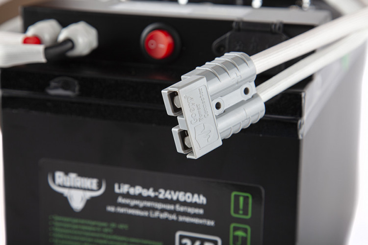 Тяговый железо-фосфатный аккумулятор RuTrike LiFePO4 60V48Ah (60А) в Сургуте