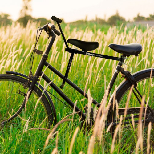 Велокресло переднее Маруся Max с ручкой в Сургуте