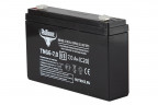 Тяговый гелевый аккумулятор RuTrike TNG 6-7.0 (6V7.0 A/H C20) в Сургуте