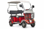 Пассажирский электротрицикл Rutrike Gelbert Hara в Сургуте
