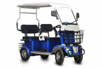 Пассажирский электротрицикл Rutrike Gelbert Hara в Сургуте