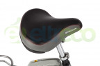 Электровелосипед Benelli Goccia 22 в Сургуте