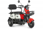 Электротрицикл Rutrike Gelbert Vega в Сургуте