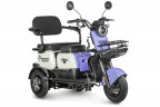 Электротрицикл Rutrike Gelbert Vega в Сургуте