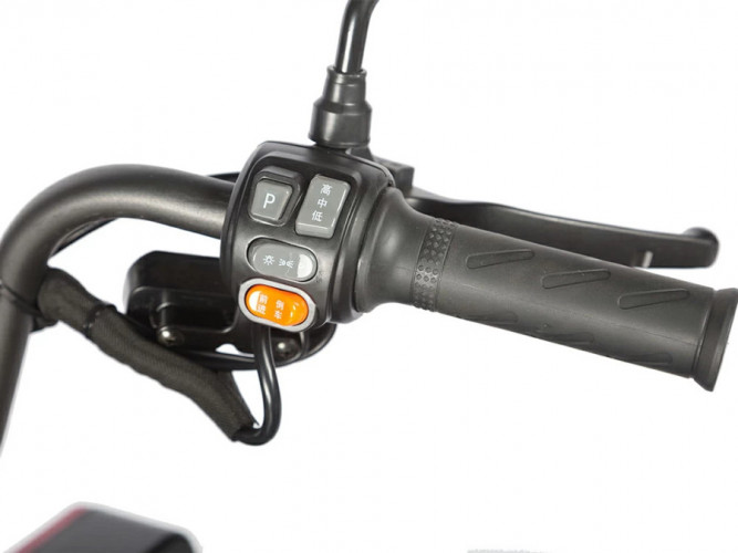 Пассажирский электротрицикл Wanshida LC-F200 в Сургуте