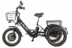 Электрофэтбайк Eltreco Green City e-ALFA Trike в Сургуте