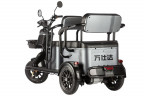 Пассажирский электротрицикл Wanshida UM+ в Сургуте