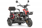 Электротрицикл Wanshida UN MOTO в Сургуте