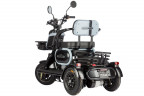 Электротрицикл Wanshida UN MOTO в Сургуте