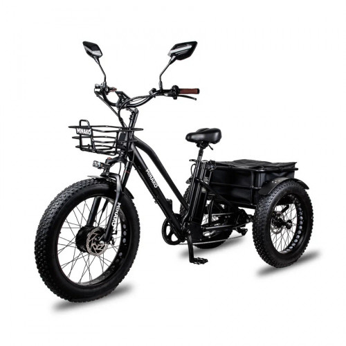 Электровелосипед Minako Trike в Сургуте