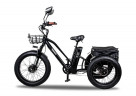 Электровелосипед Minako Trike в Сургуте