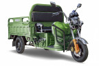 Грузовой электрический трицикл RuTrike Гибрид 1500 в Сургуте