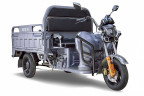 Грузовой электрический трицикл RuTrike Гибрид 1500 в Сургуте