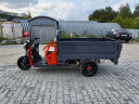 Грузовой электрический трицикл Pаntеrа Гидрaвлика 75V1500W в Сургуте